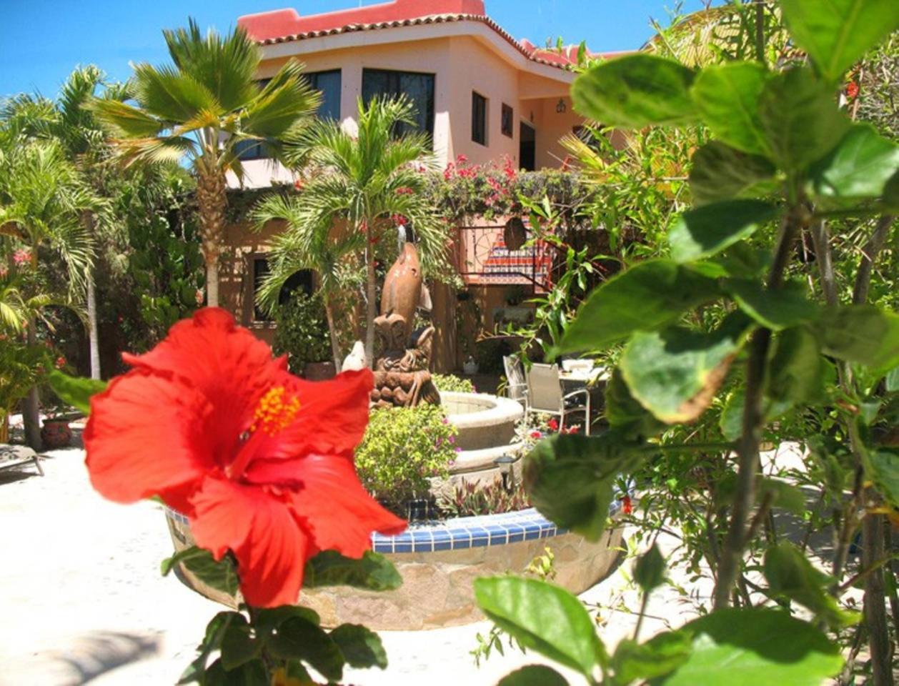 Hacienda De Palmas Acomodação com café da manhã La Ribera Exterior foto
